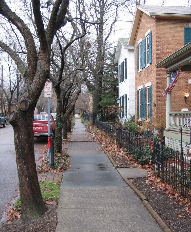 Saint Anne's Hill SkyscraperCity